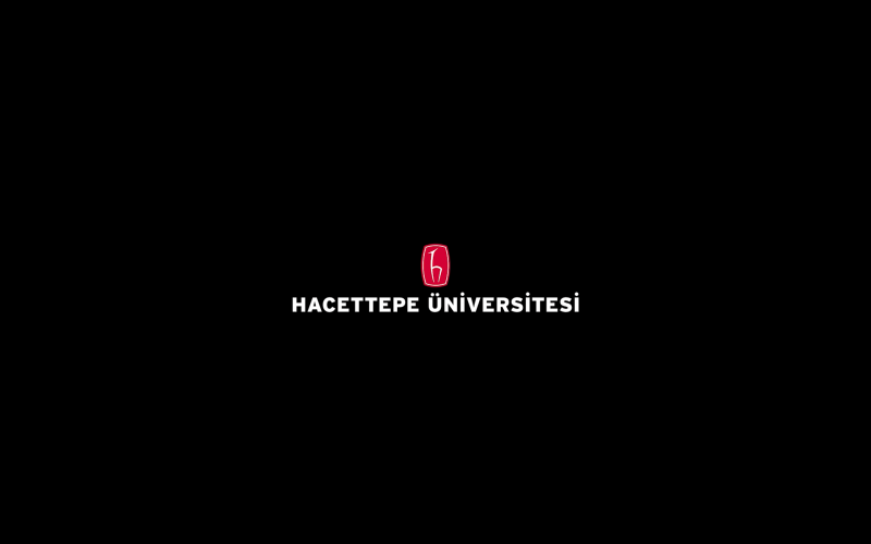 hacettepe-universitesi 
